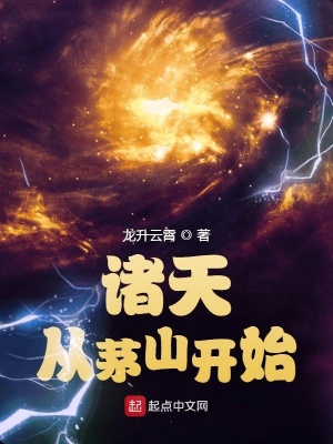 帶有張恒名字的小說