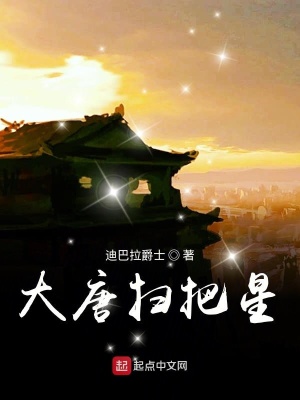 大唐掃把星賈平安身份