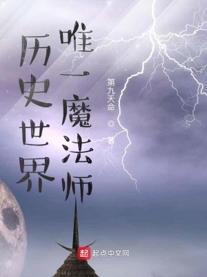 歷史世界唯一魔法師小說朱拂曉的過去